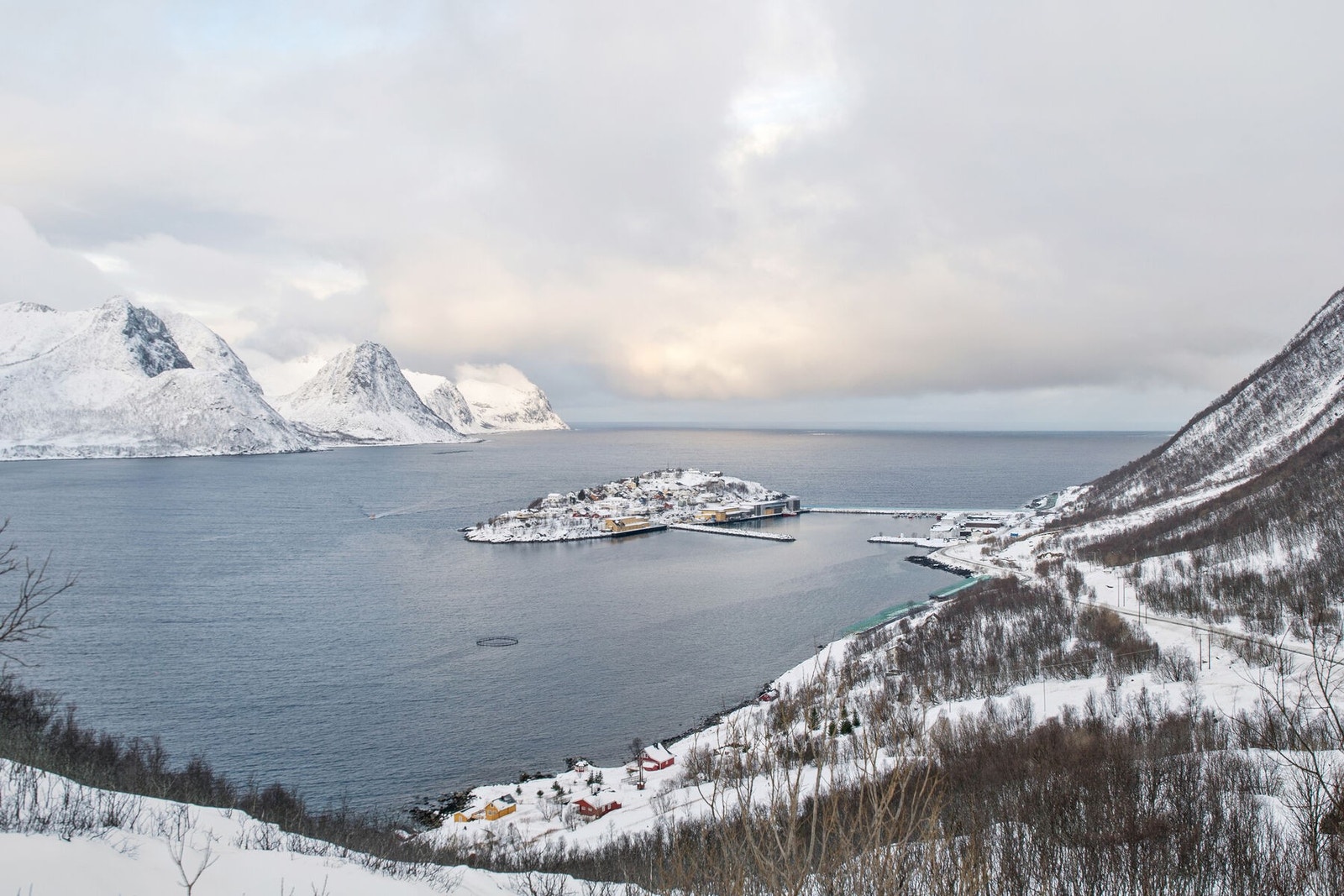 Oversiktsbilde av flotte Husøya Galleribilde