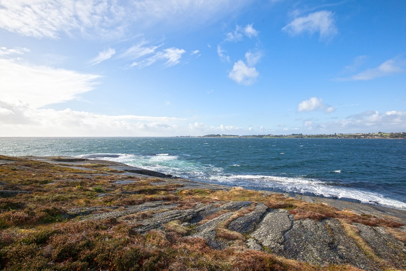 Nærområde Galleribilde