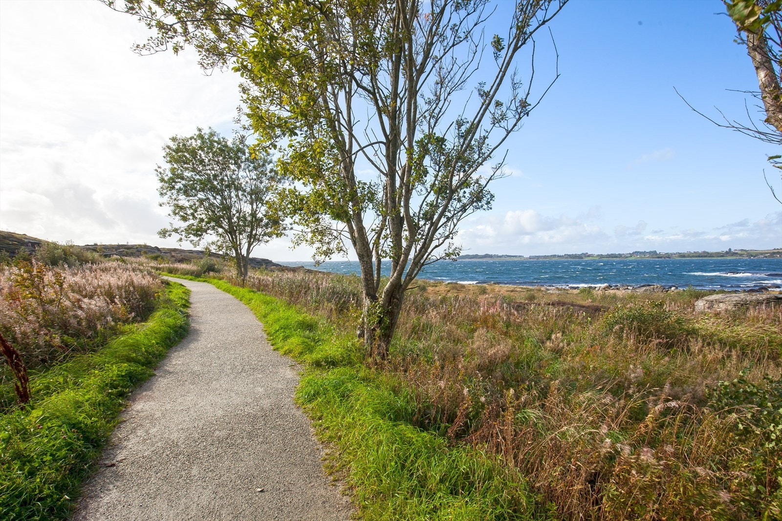 Nydelig turområde like ved Galleribilde