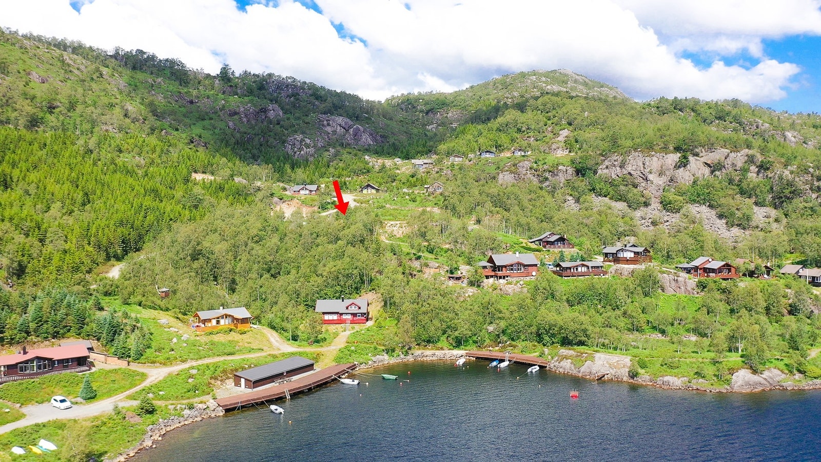 En del skog fjernet høsten 2020. Galleribilde
