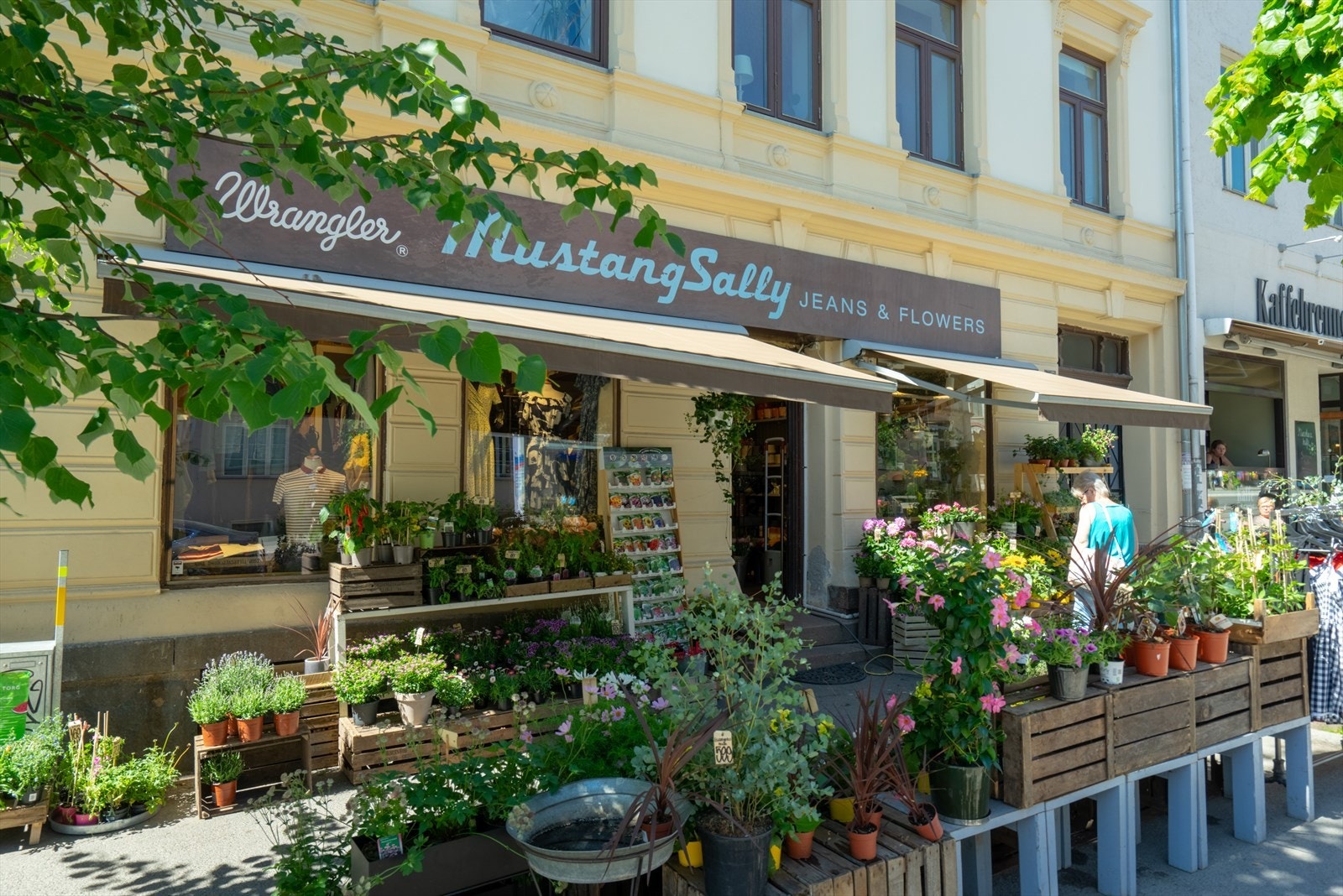 Mustang Sally har er rikt utvalg av planter og blomster Galleribilde