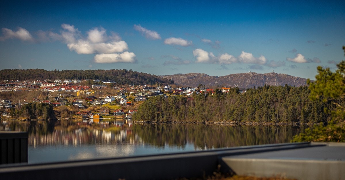 Utsikt stue Galleribilde