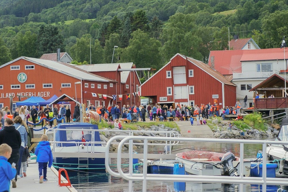 Bilde levert av selger Galleribilde