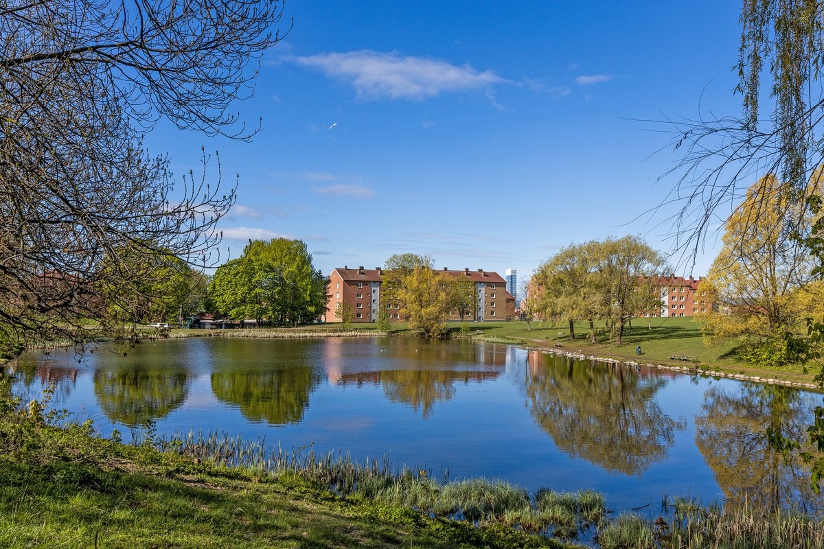 Hovindammen Galleribilde