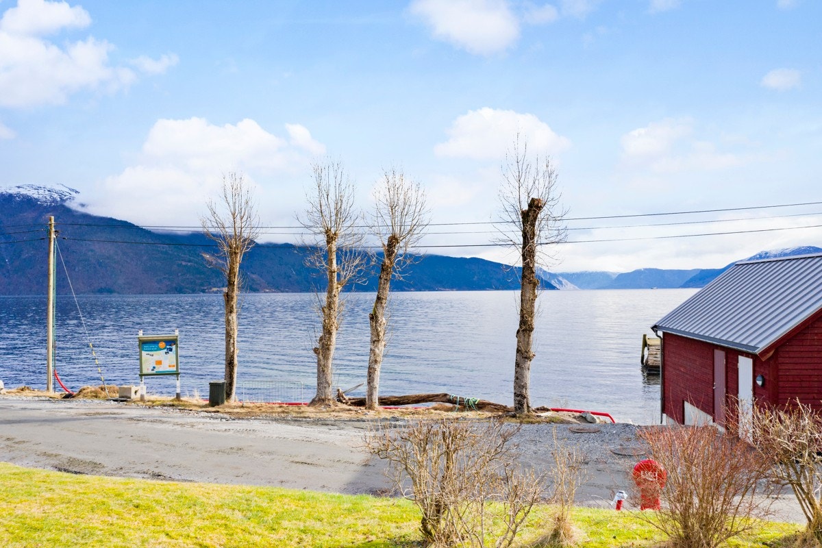 Fjorden ligger kun et steinkast fra hagen - like bortenfor er det kommunal kai/badeplass med sandstrand Galleribilde