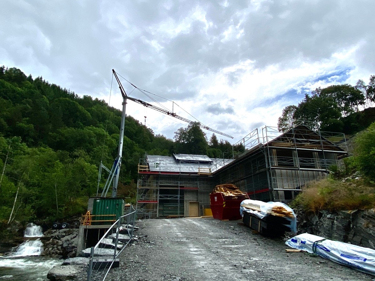 IMG_5565 Galleribilde