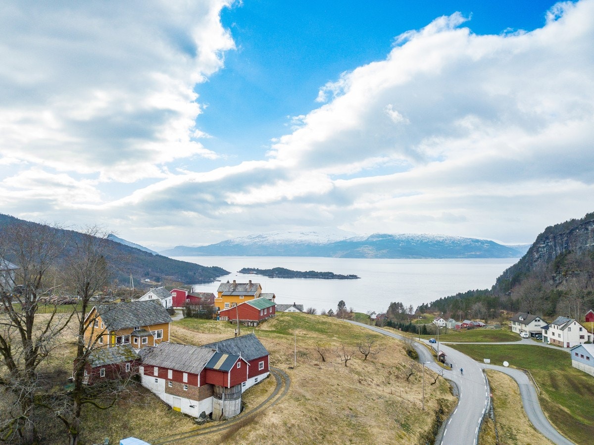 Sett ned mot fjorden Galleribilde