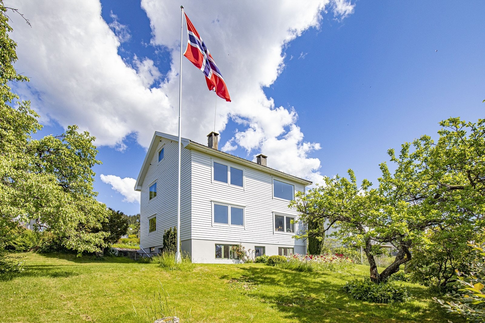 Tenk å kunne plukke frukt frå eigen hage! Galleribilde