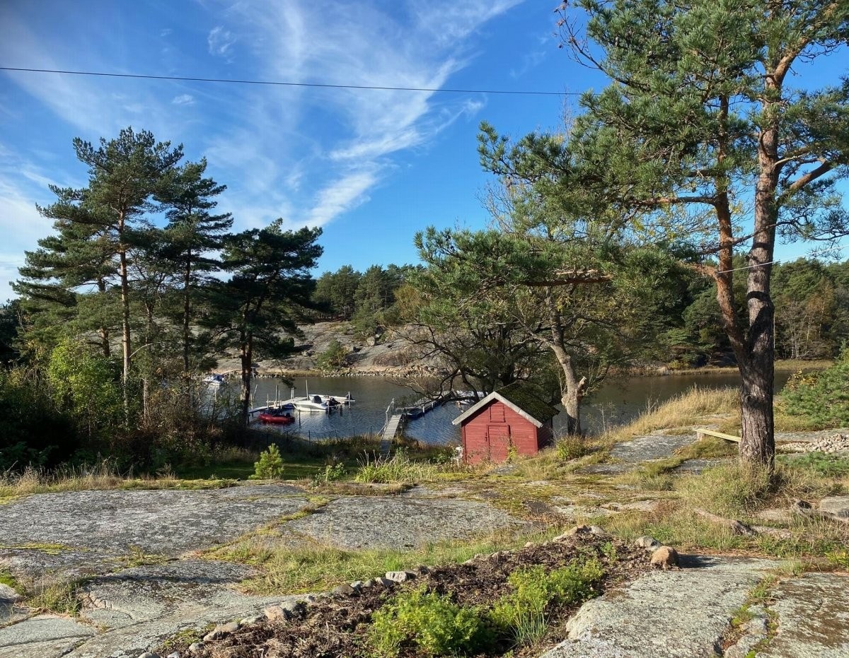 Privatbilde - Utsikt sommerstid Galleribilde