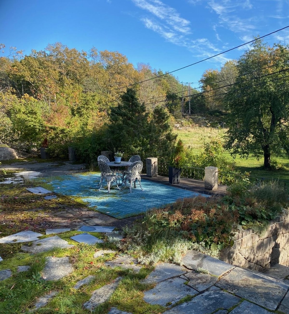 Privatbilde - Tomta er grønn og frodig på sommerstid, den er hovedsakelig foran huset Galleribilde