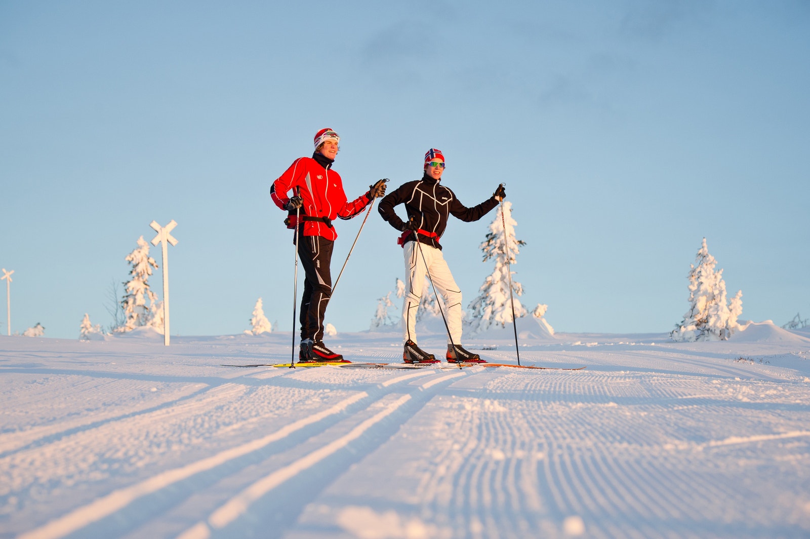 Preparert dobbeltspor 10 meter fra terrassen - direkte ut i høyfjellet. Galleribilde