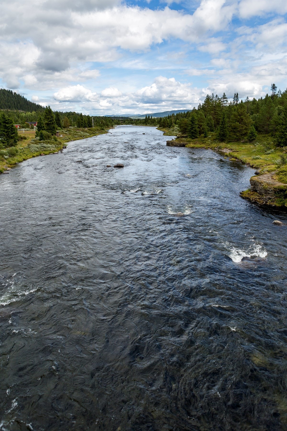 Tisleia er en populær fiskeelv - gangavstand fra tomtene! Galleribilde