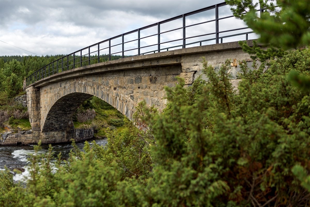Bilde fra området Galleribilde