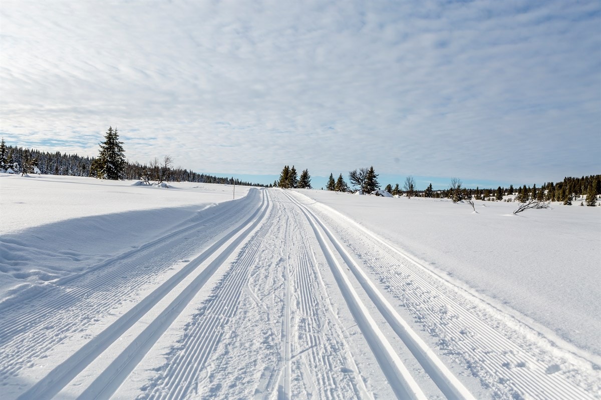 Flotte trikkeskinner i nærområdet! Galleribilde