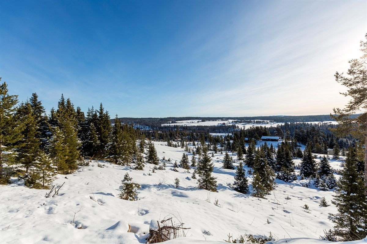 Sommerstid kan man nyte området til fots eller sykle innover de mange stølsveiene. Her møter man flott natur, dyr på beitene og stillheten i fjellheimen. Galleribilde