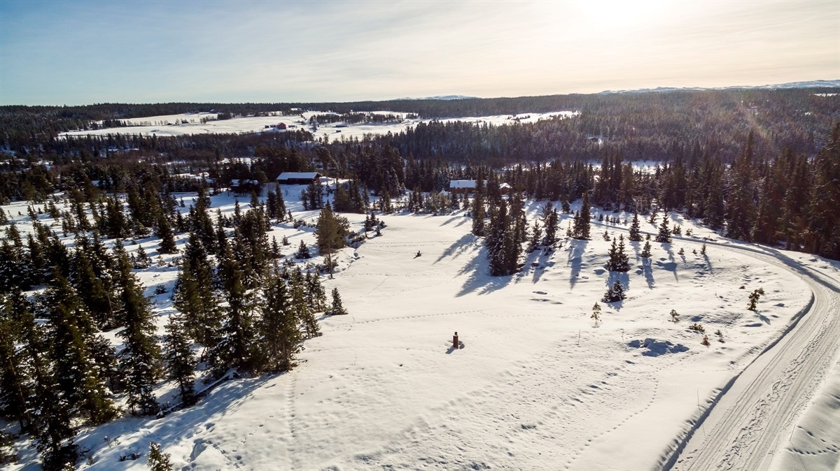 Mange fine turmuligheter sommer som vinter. Skiløyper og turstier like i nærheten. Galleribilde