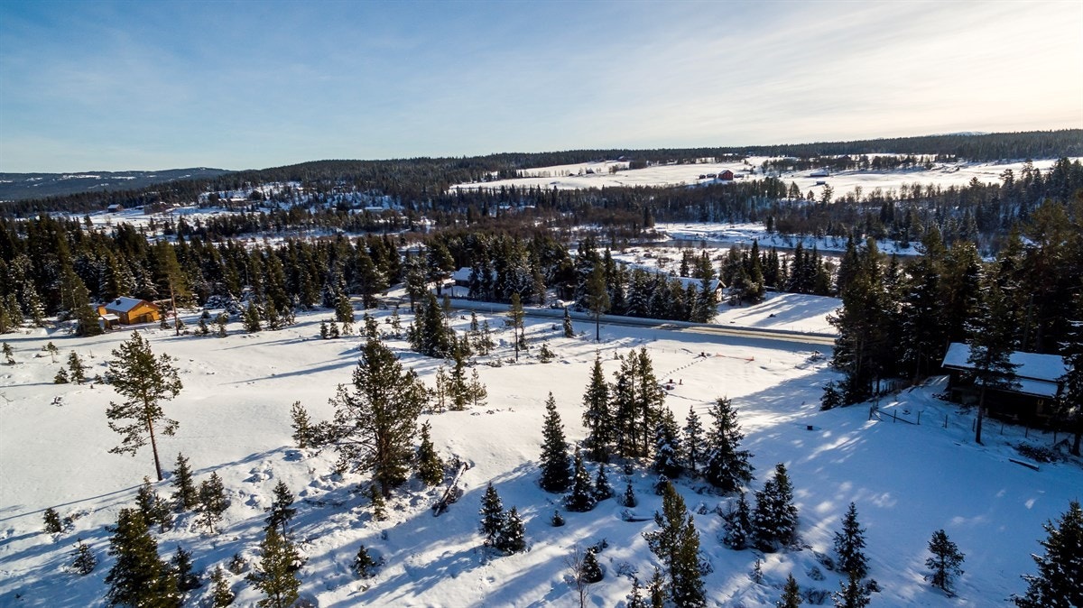 2 flotte tomter til salgs, velkommen til Rykkebakkin i Tisleidalen. Galleribilde