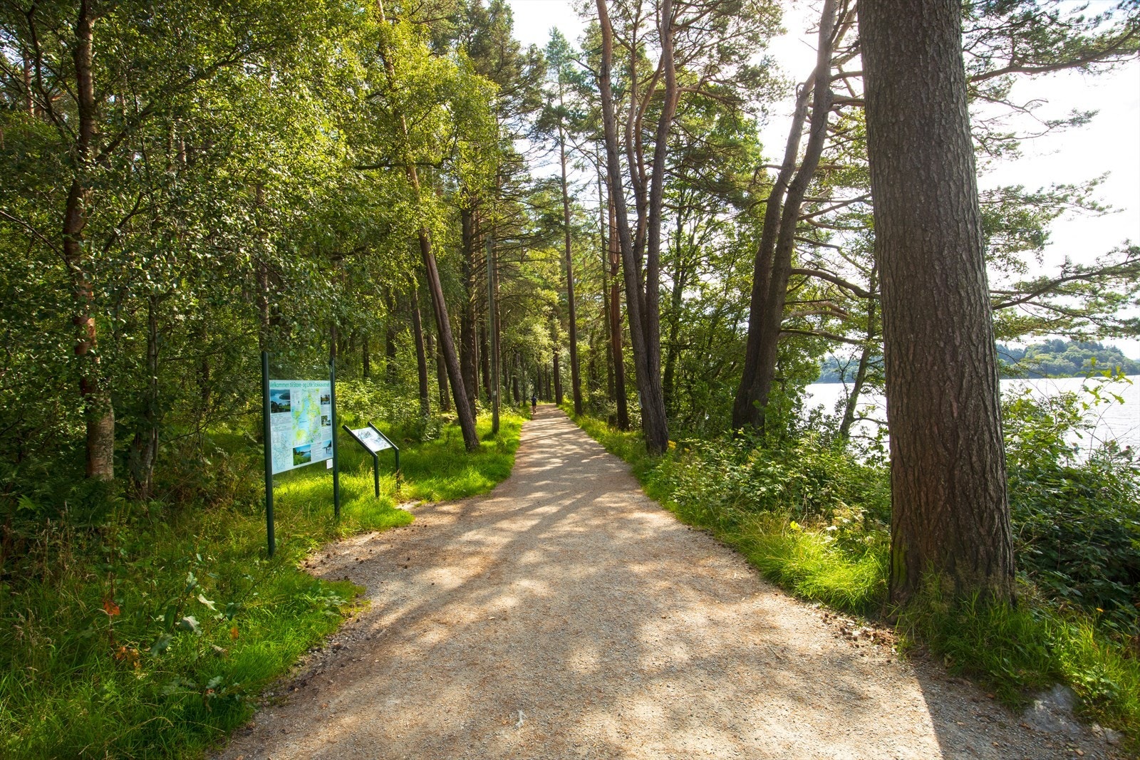 Nærområde Galleribilde