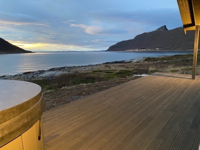 Sett fra platten. Galleribilde