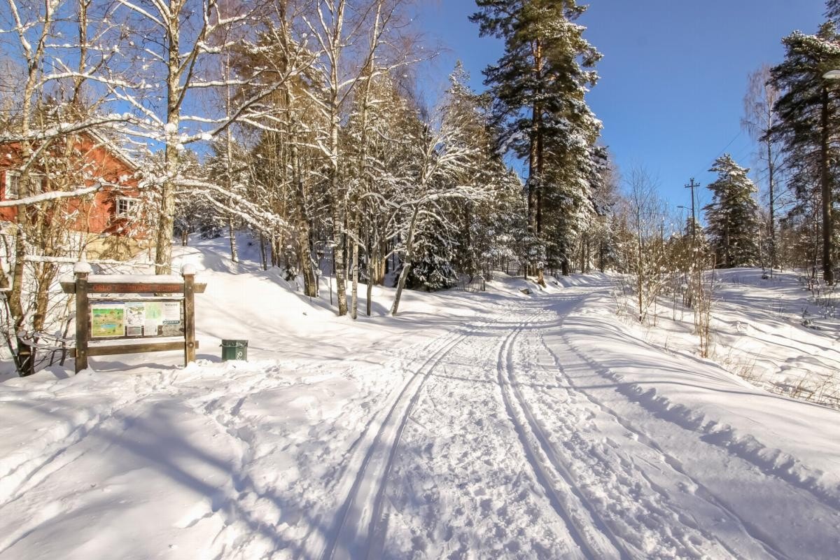 Stort løypenett for den skiglade i Østmarka Galleribilde