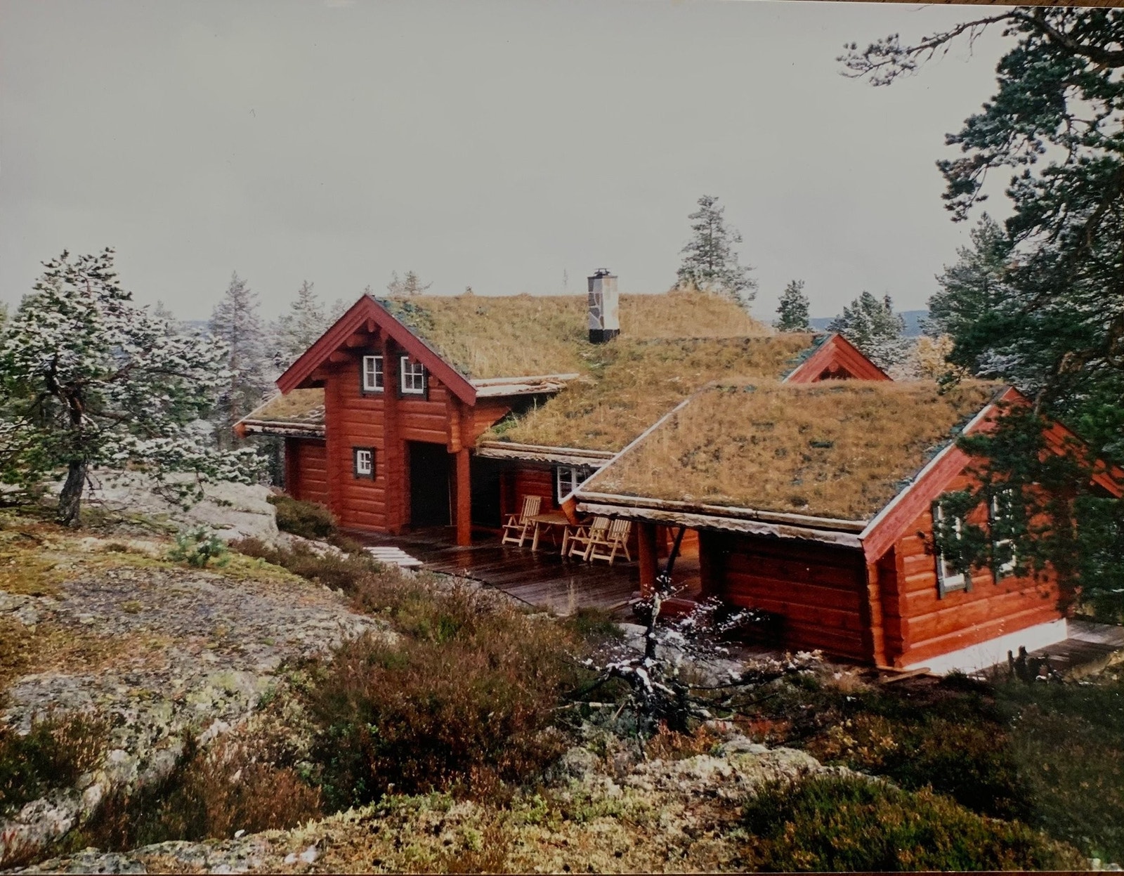 Fin naturtomt rund hytta. Galleribilde