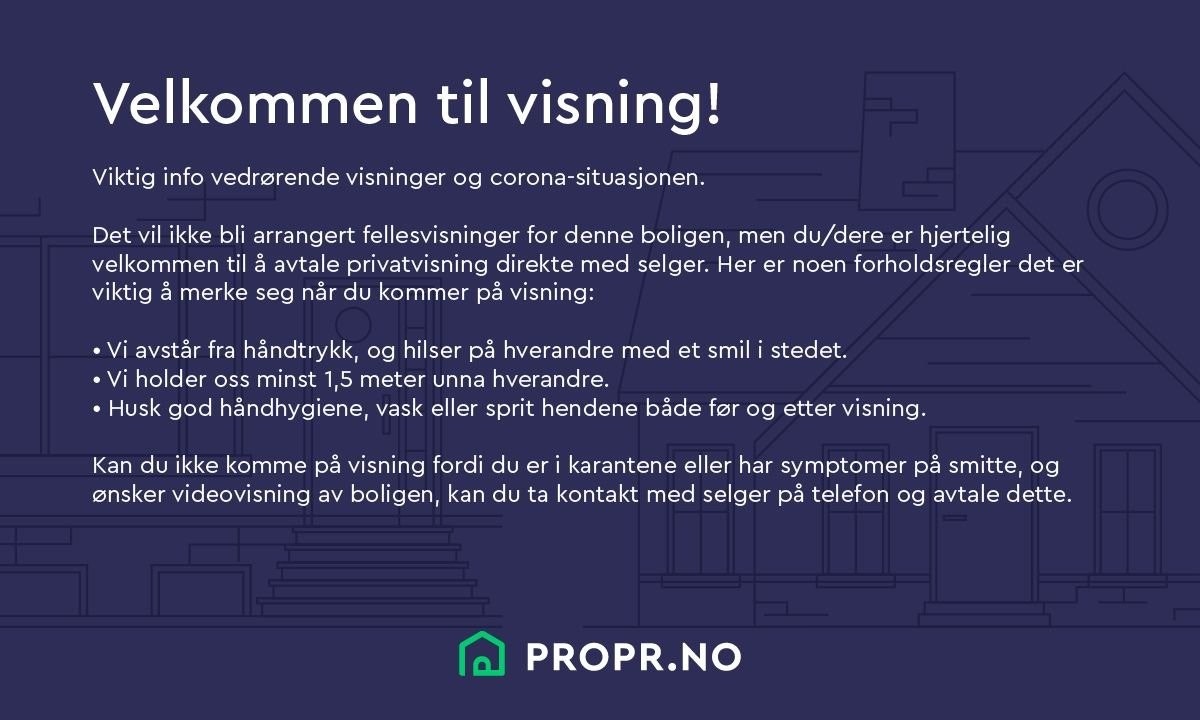 Smittevernsregler ved visning Galleribilde