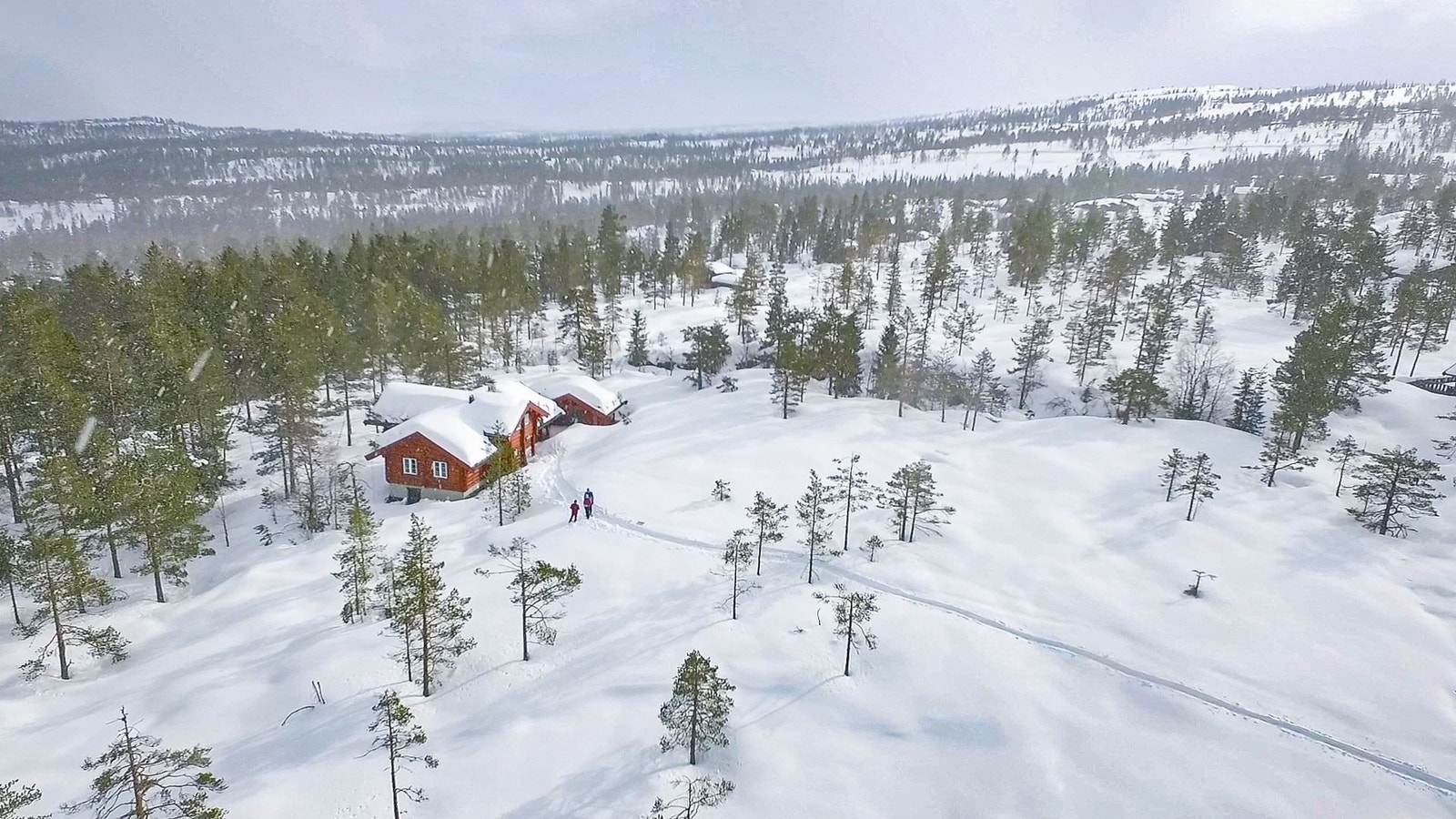 Frittliggende og med selveiertomt. Galleribilde