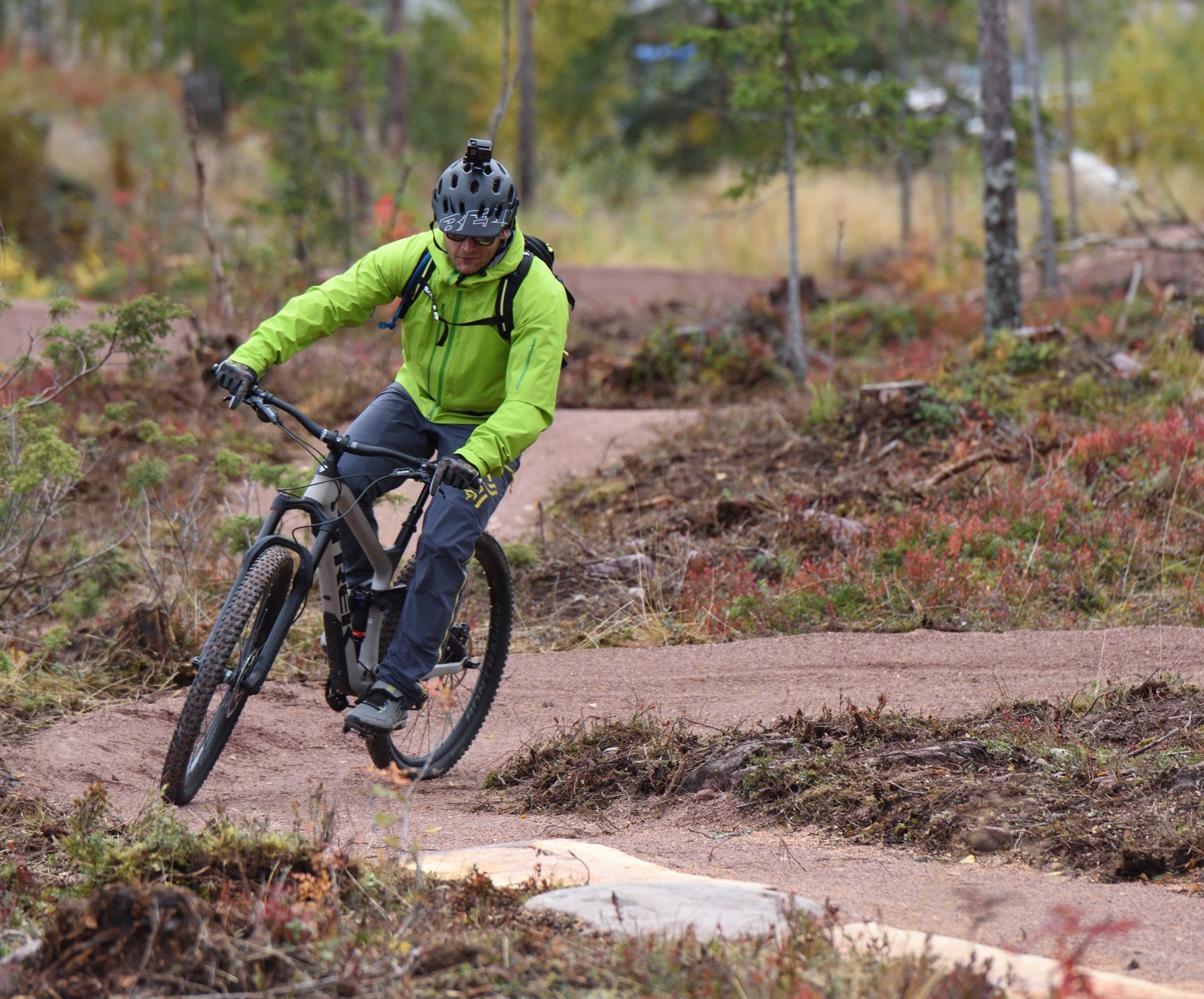 Bamserunden for de minste og Blåbærrunden for de større Galleribilde
