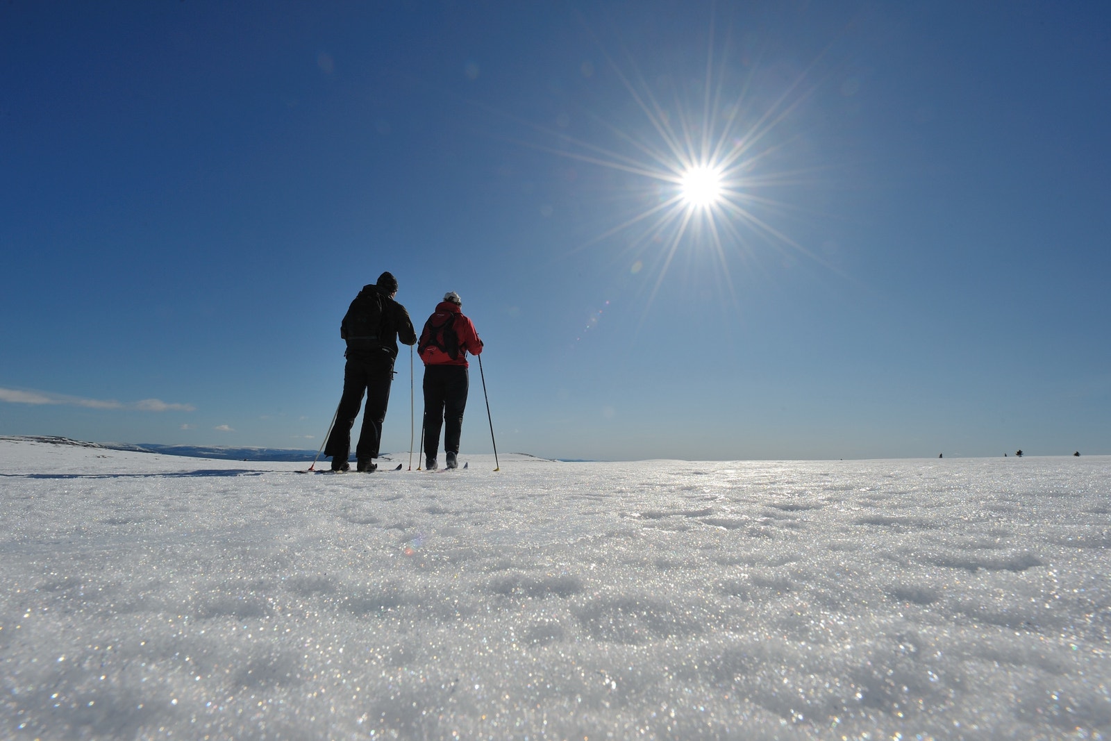 Vakkert og romantisk Galleribilde