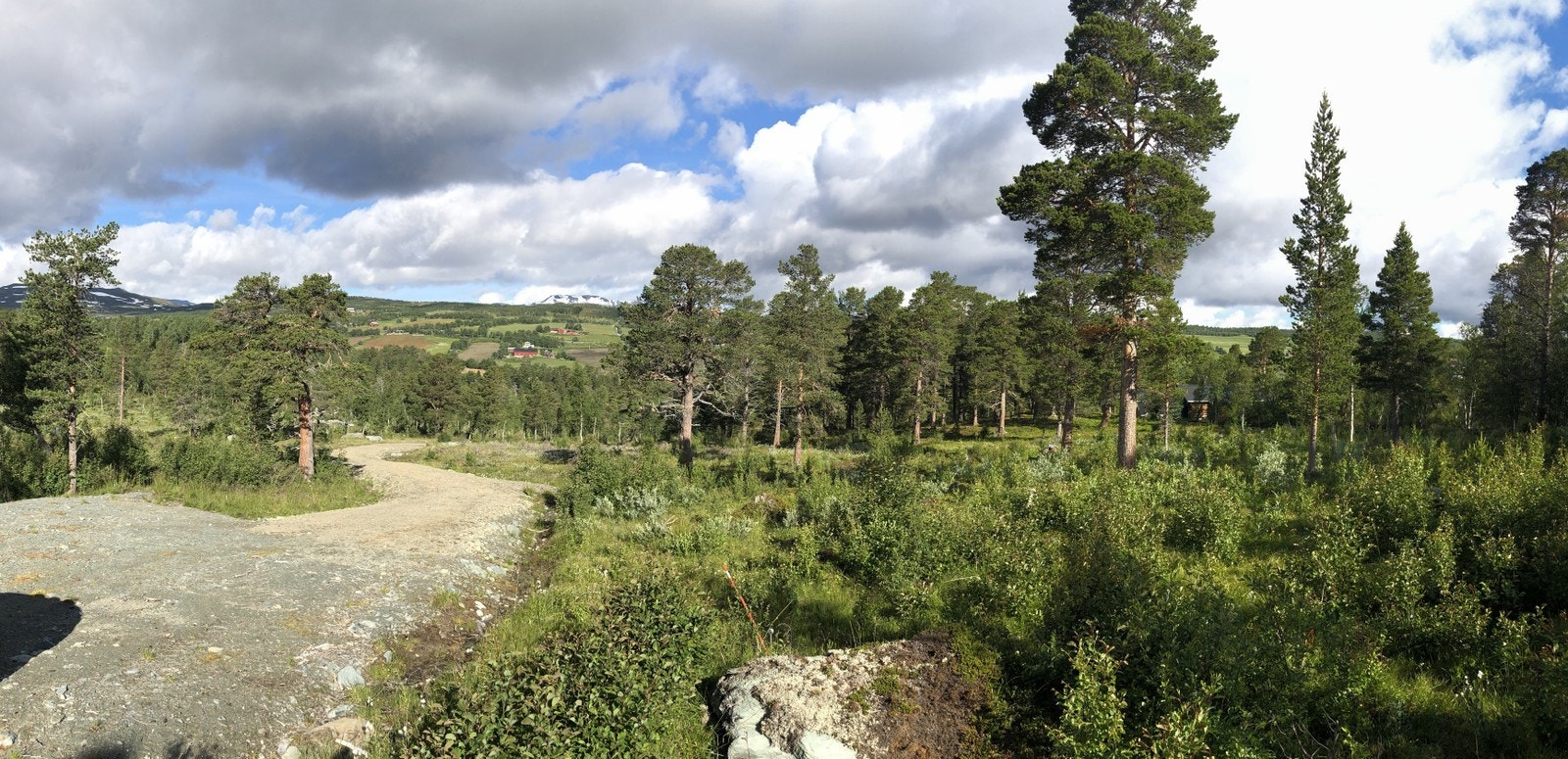 Bilde fra tomtefeltet Galleribilde