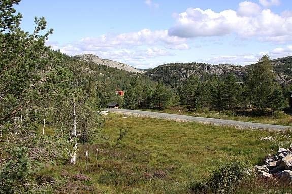 Bilde av tomt 48 Galleribilde