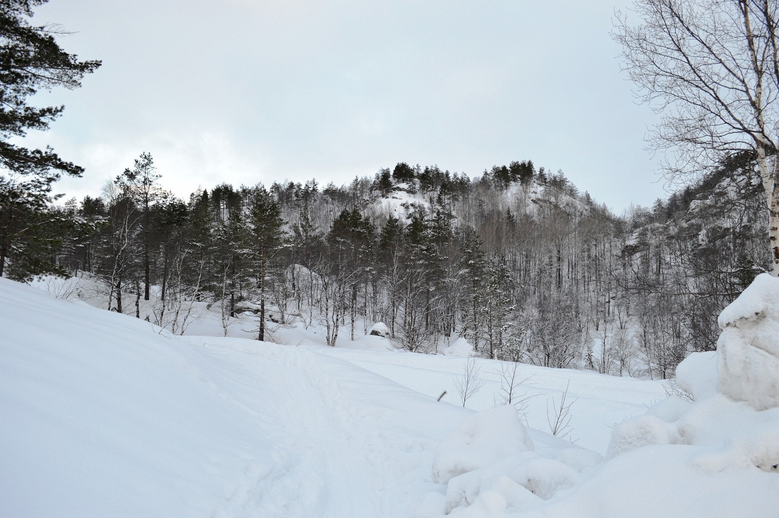 Snarvei til skiløypen fra parkeringsplass Galleribilde