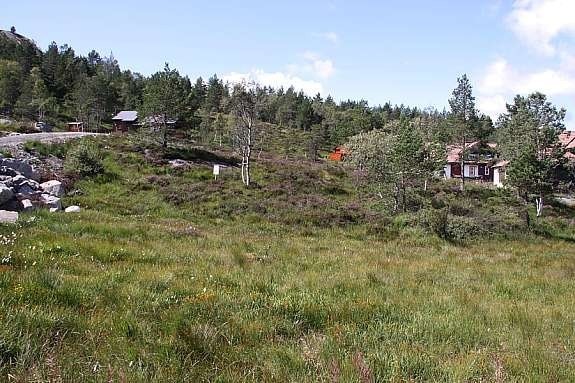 Bilde av tomt 48 Galleribilde