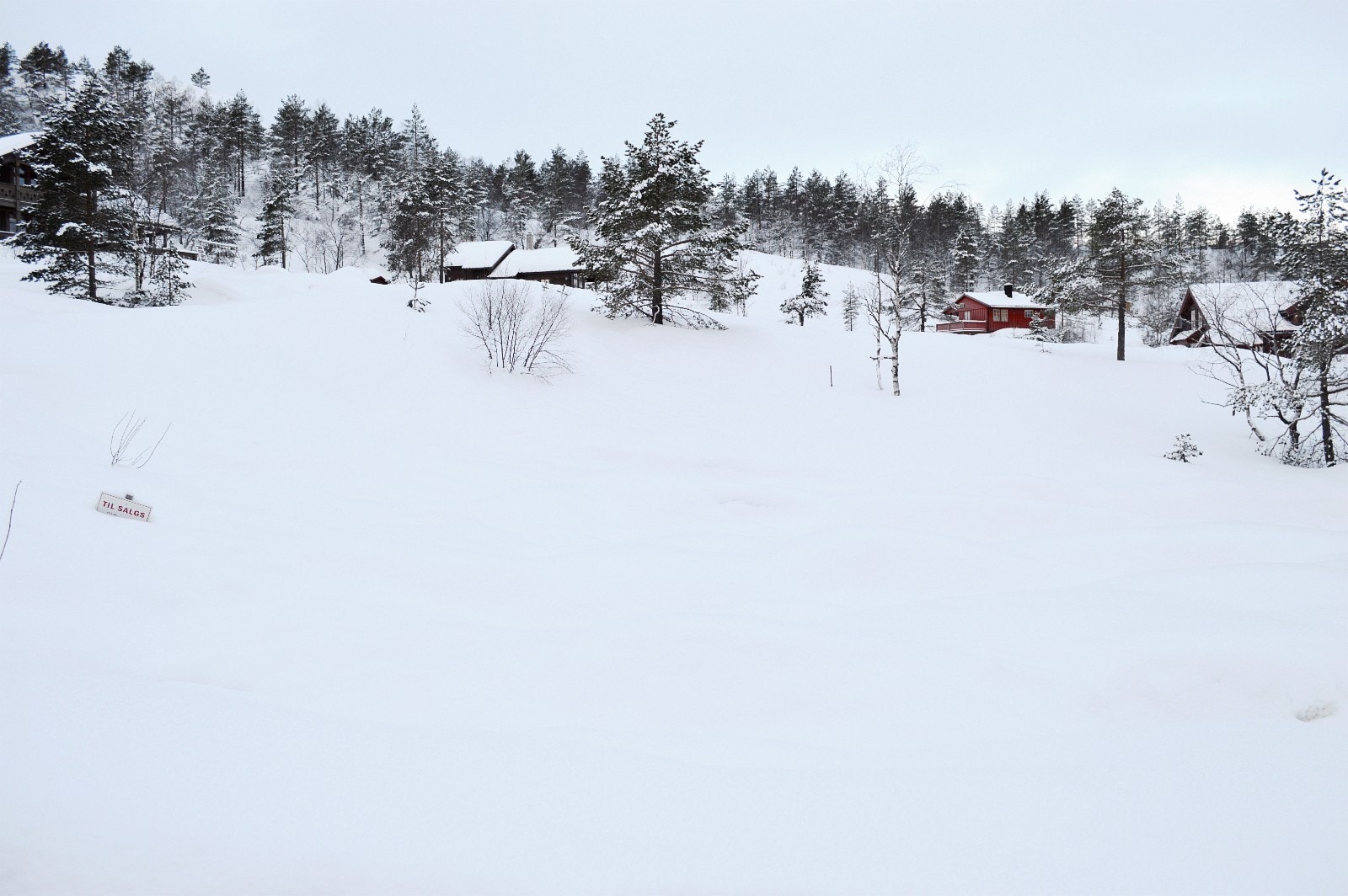 Tomt 48 i vinterdrakt Galleribilde