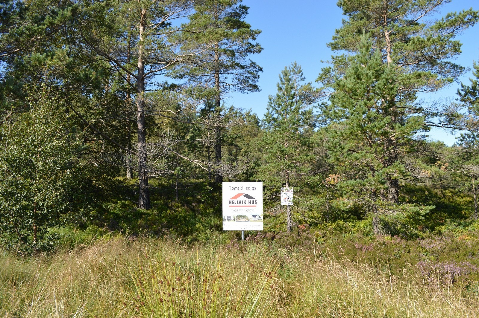 Tomt 42 Galleribilde