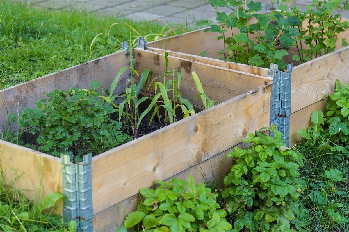 Bakgården. Galleribilde