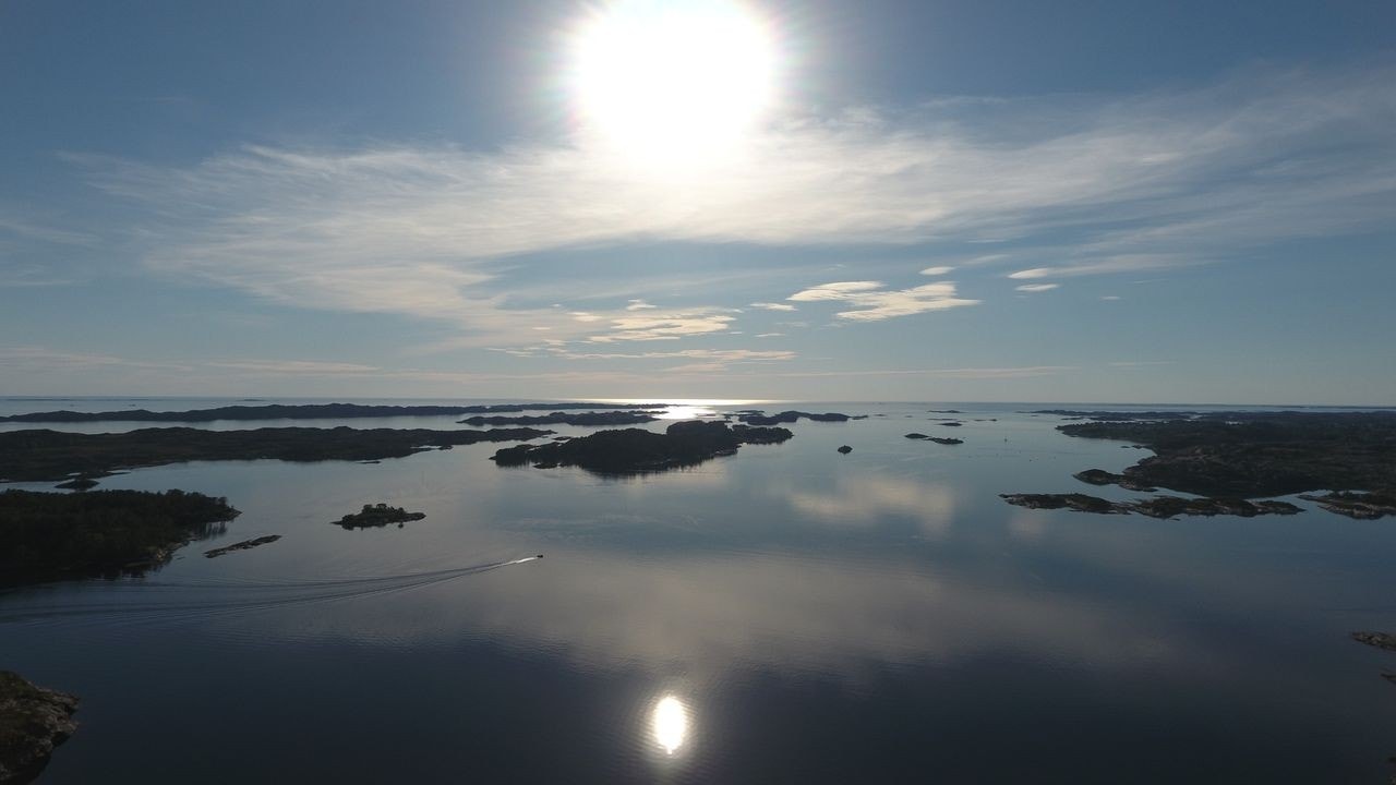 Ut mot folla i måneskinn Galleribilde