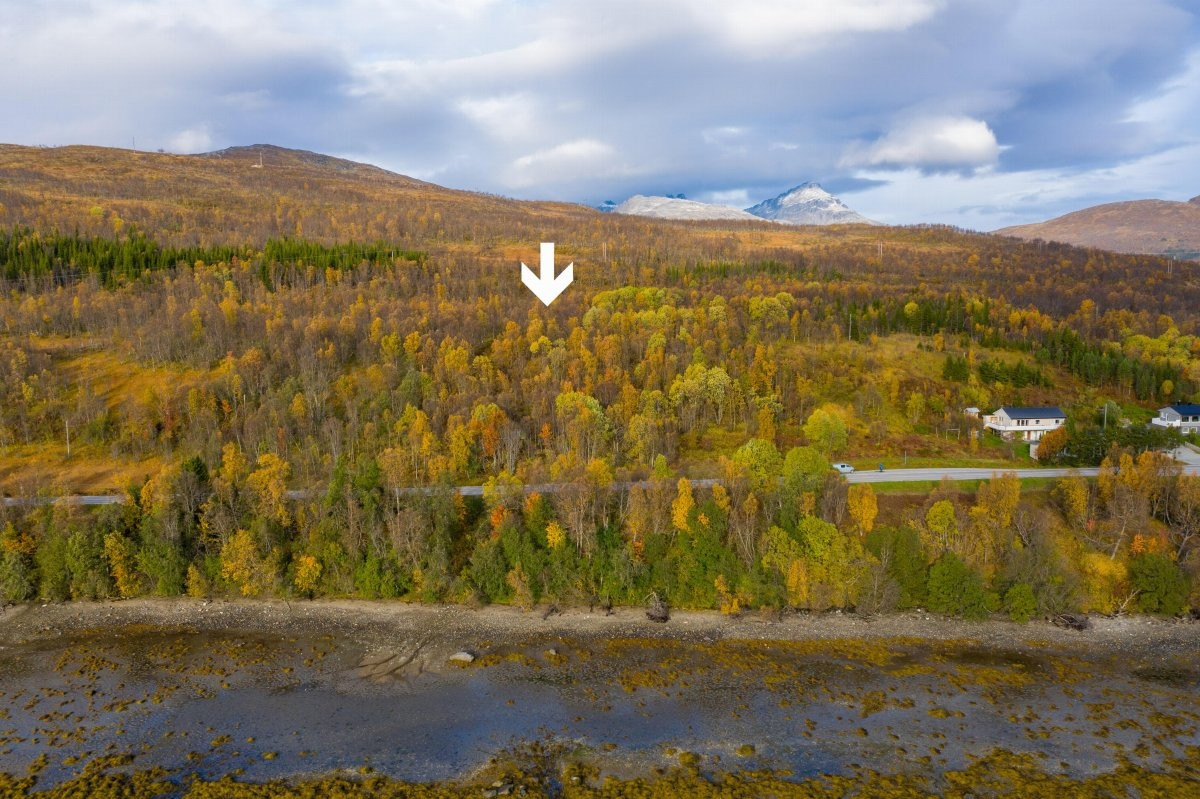 Området kan by på en fin natur og og gode lysforhold