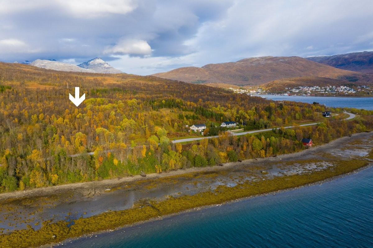 Området/plassering