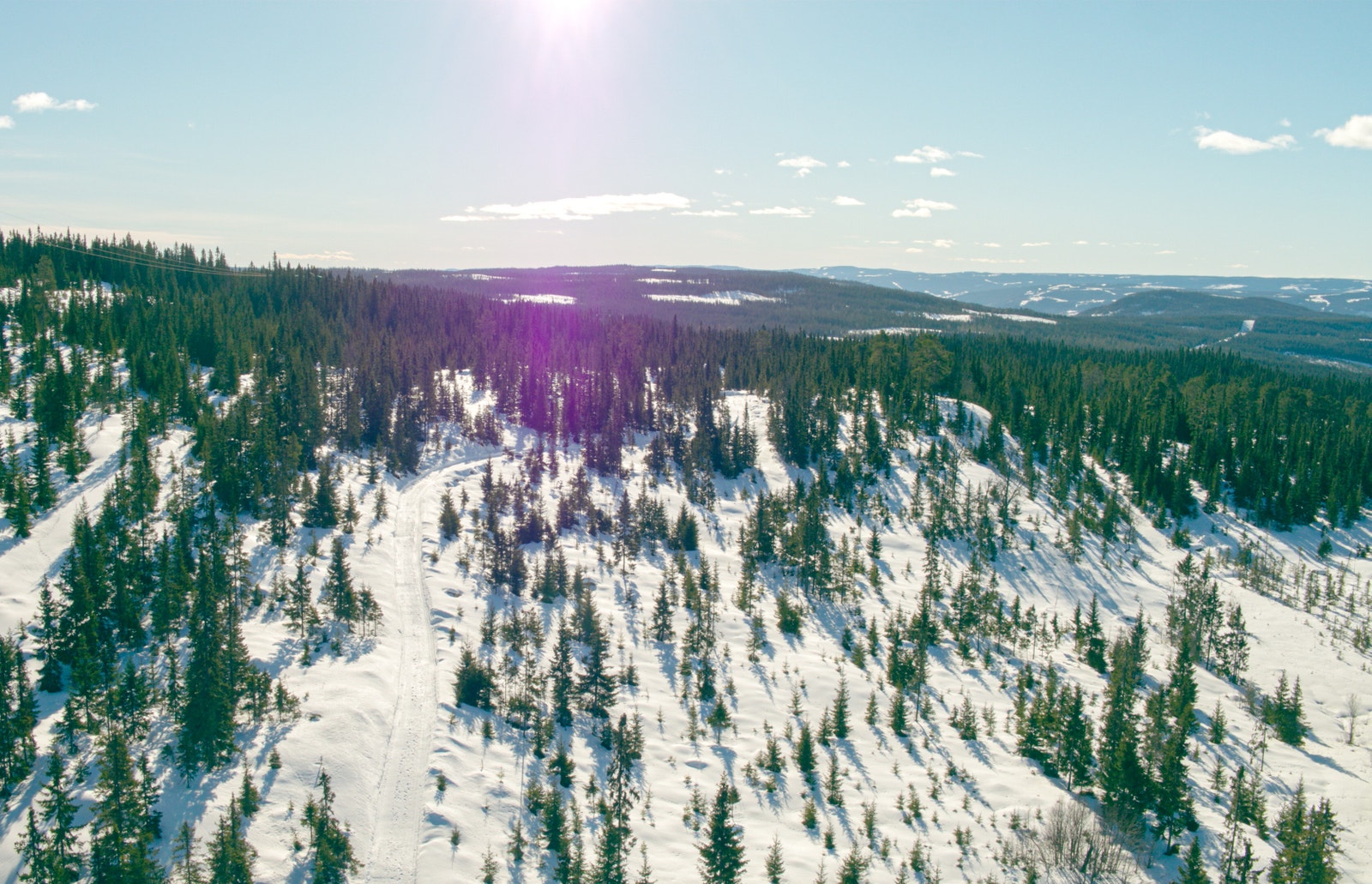Høghaugen Øvre Galleribilde