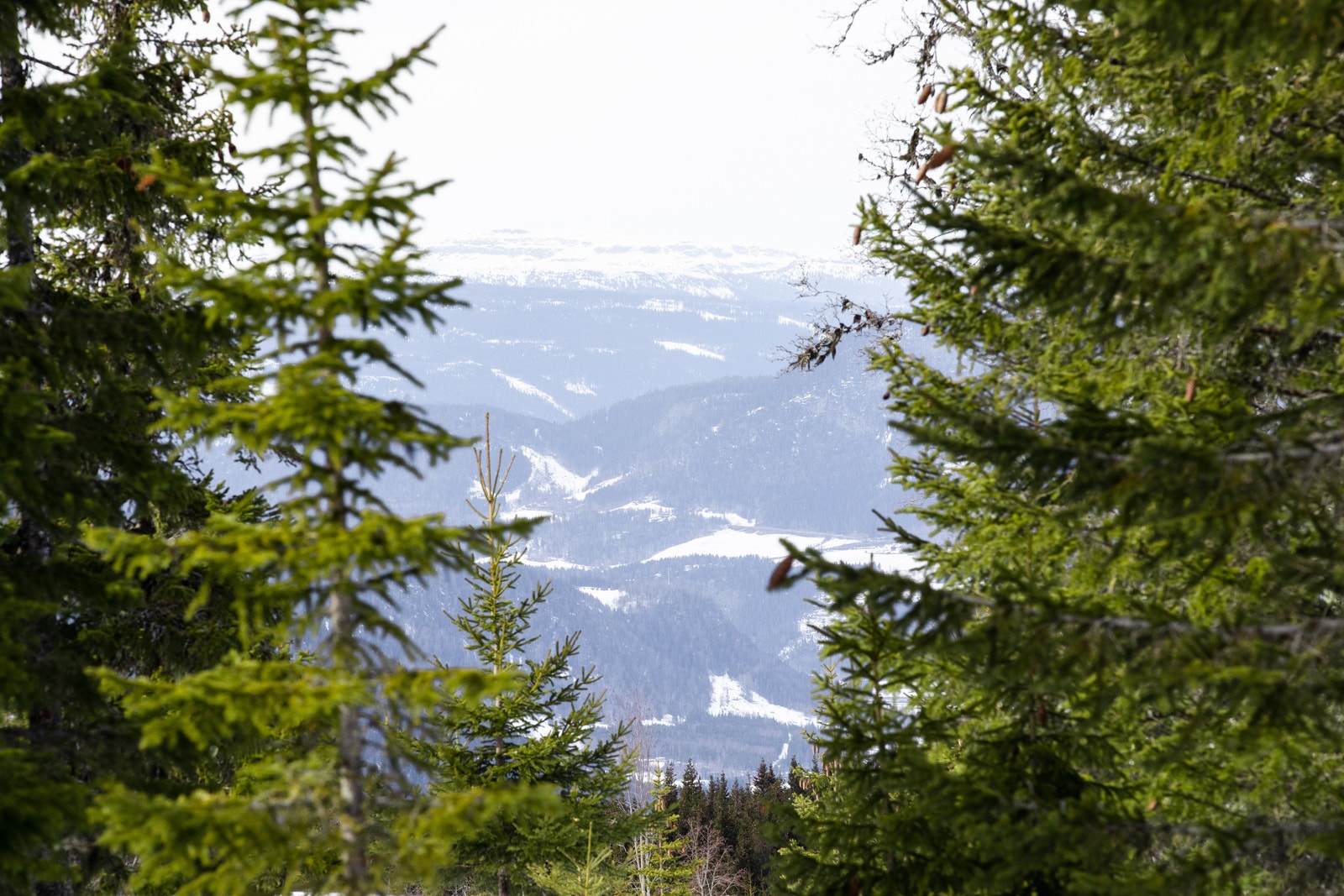 Utsikt fra Høghaugen Øvre Galleribilde