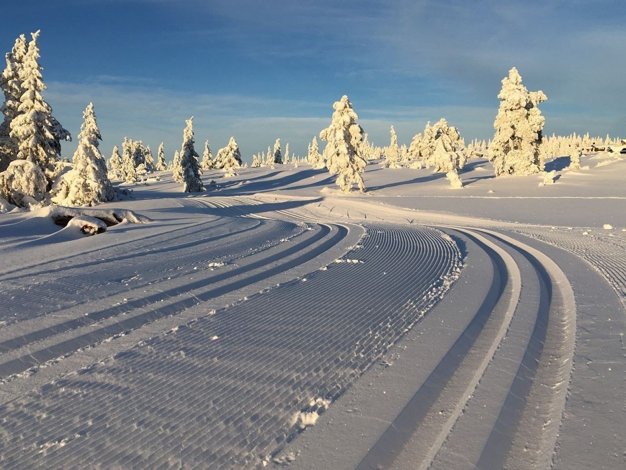 Milevis med dobbeltspor. Galleribilde