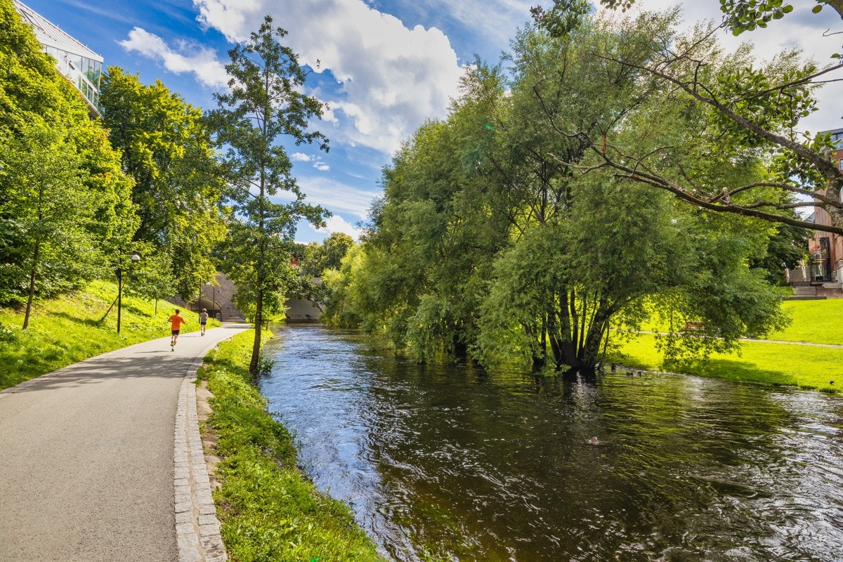 Fine turområder langs Akerselva Galleribilde