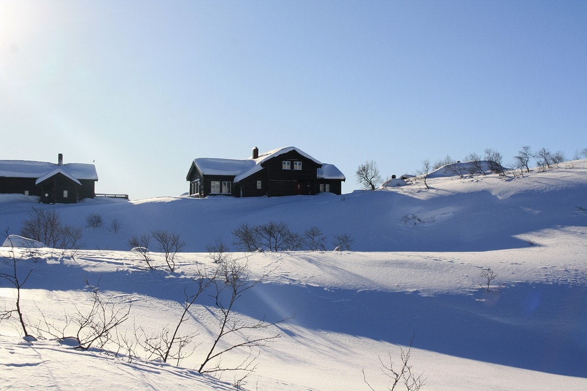 Høyfjellshytte på Ådneram Fjellgrend Galleribilde
