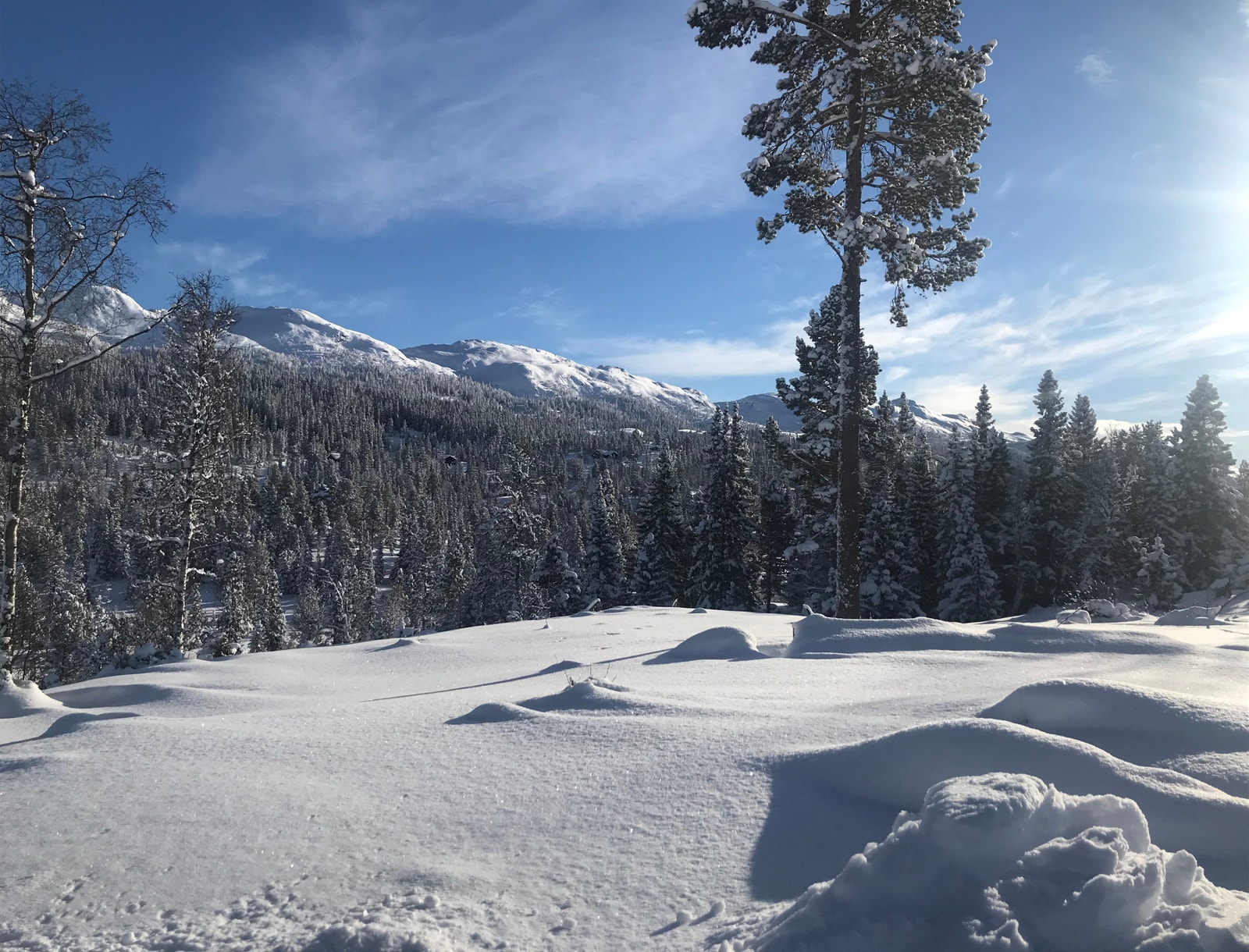 Vinterbilde fra området Galleribilde