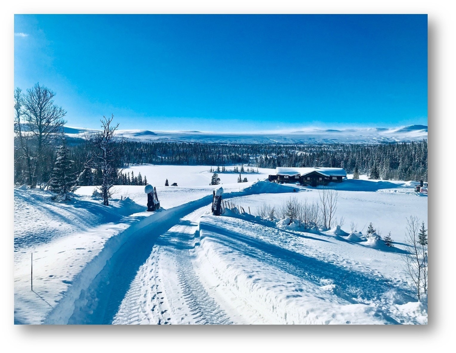 Vinterbilde fra området Galleribilde