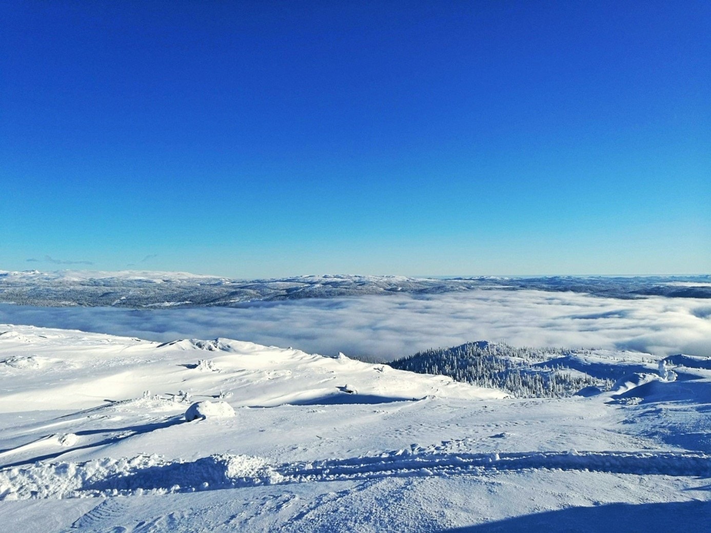 Vinterbilde fra området, toppen av Hallandfjellene Galleribilde