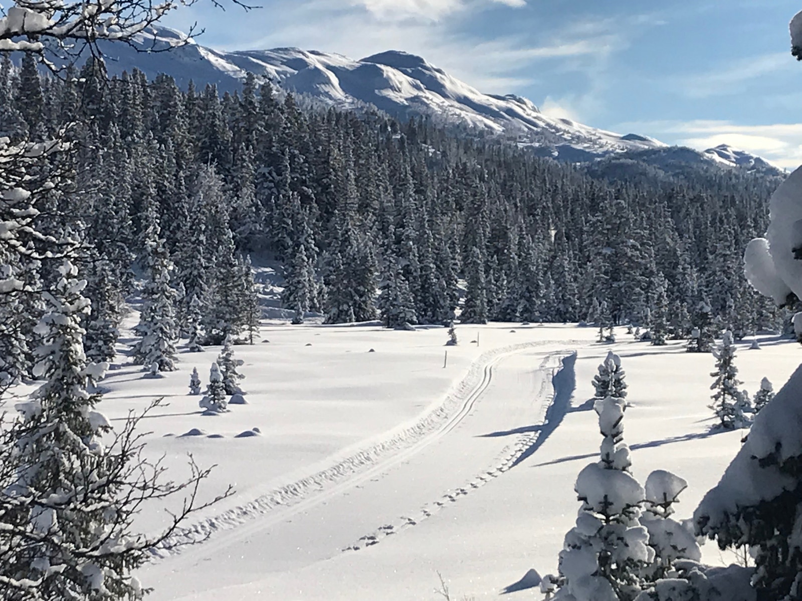Vinterbilde fra området Galleribilde