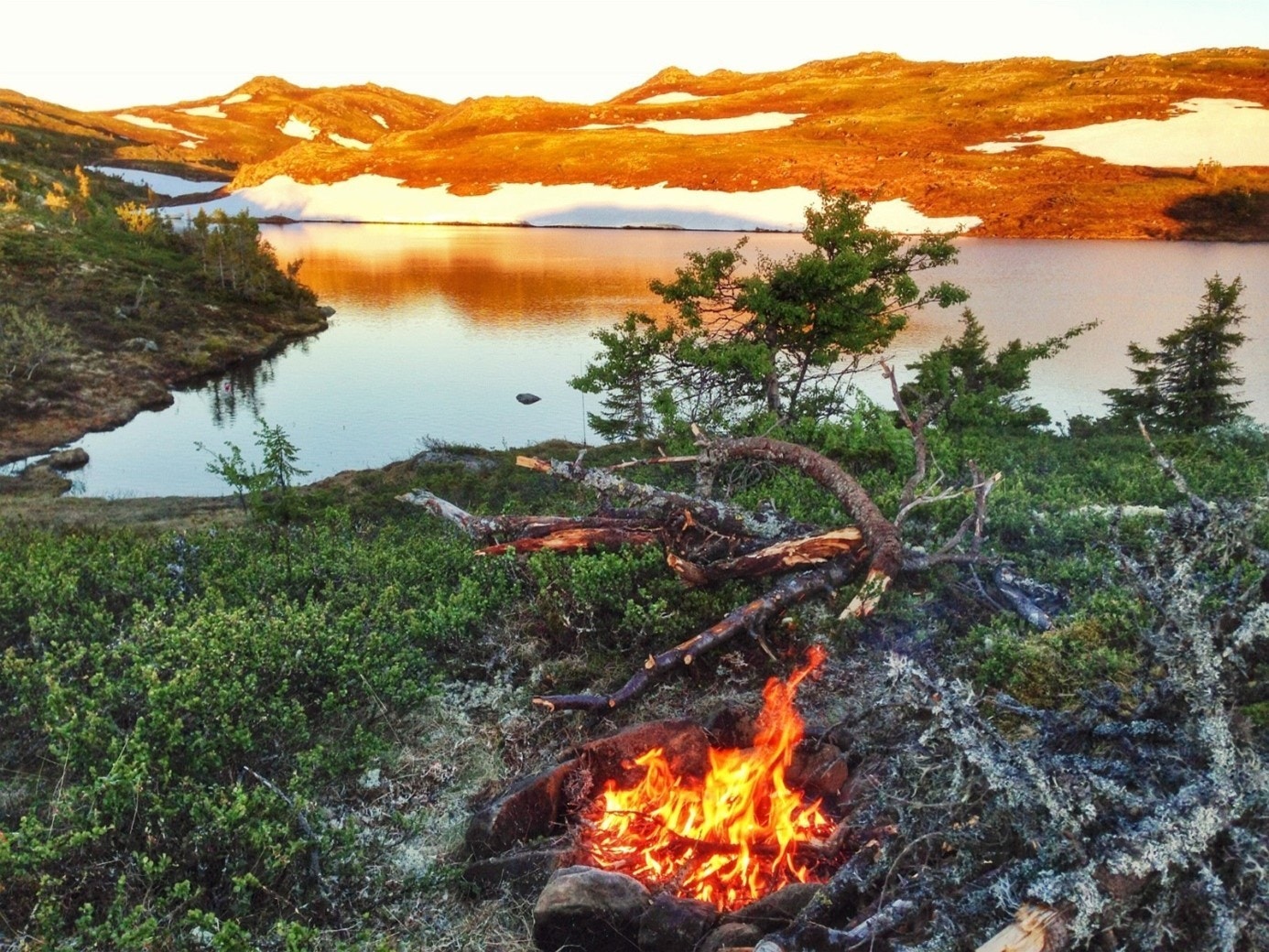 Fiskevann i området Galleribilde