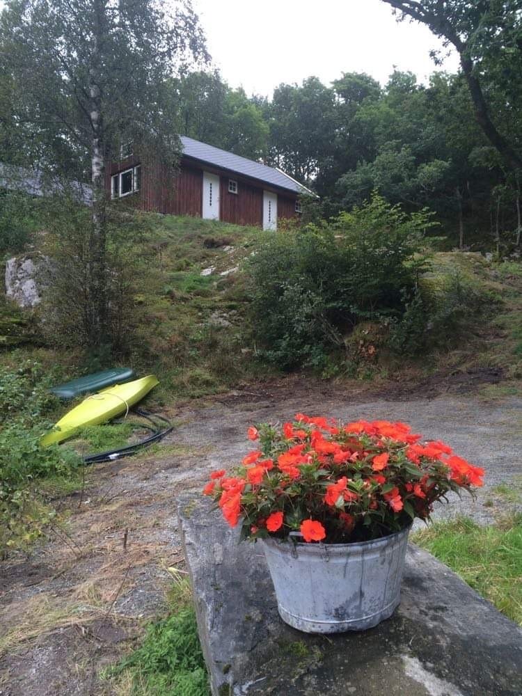 Felles bygg med sjøboder og tilgang til toalett ved sjøen Galleribilde